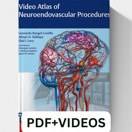 PDFVIDEOS-2-1.png