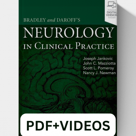 PDFVIDEOS-3.png