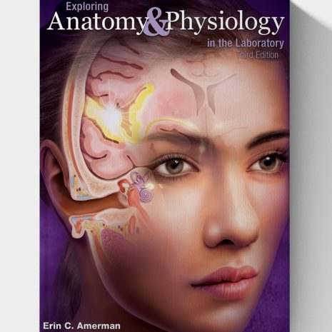 anatomy.jpg