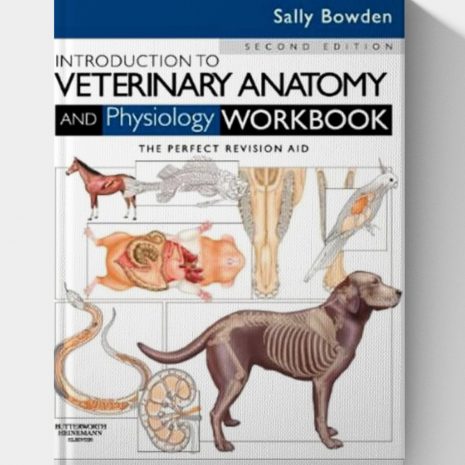 vet.jpg