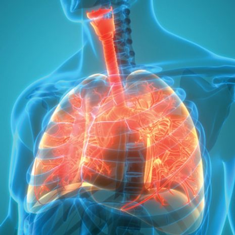 562-the-brigham-board-review-and-comprehensive-update-in-pulmonary-medicine-cme__69153.jpg