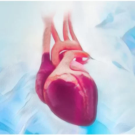 Cardiac-Surgery-Certification-CSC-Review-Course-2022.webp