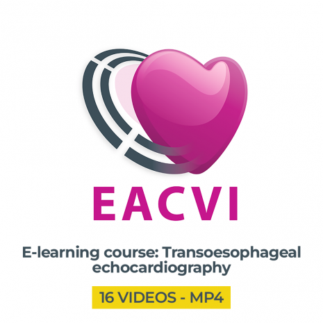 ECAVI-11.png ECAVI-11.png
