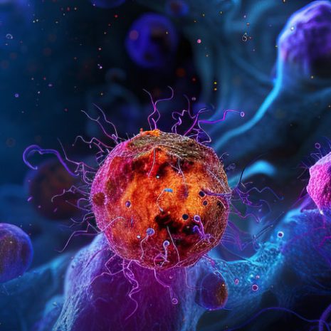 Memorial-Sloan-Kettering-Cancer-Center-Update-in-Hematology-and-Medical-Oncology-2025.jpg